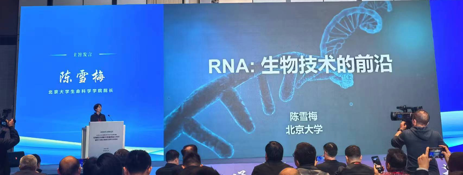 中科微末利用结构生物学多方位助力药物开发