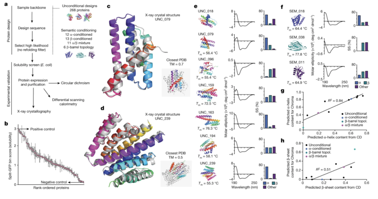 Code reshaping life: Synthetic protein technology leads a new era