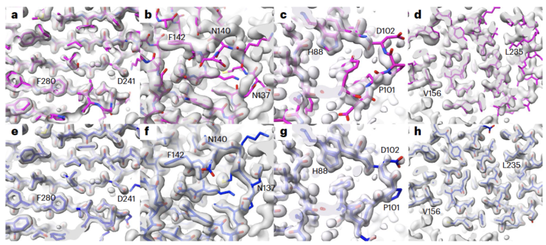 Why did the protein structure prediction tool AlphaFold experience a ‘high opening and subsequent decline’?