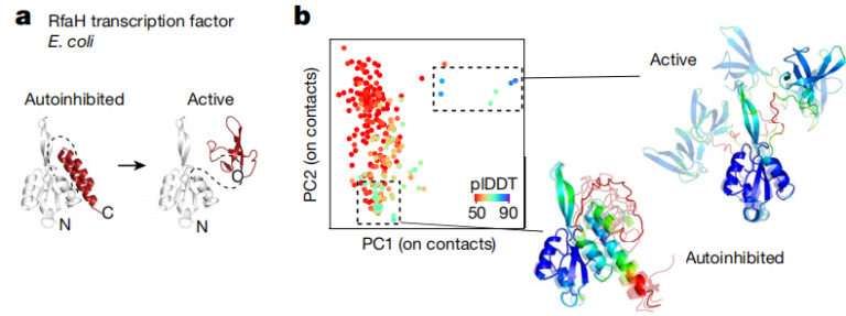 AlphaFold2 breakthrough? New strategy predicts protein polymorphism